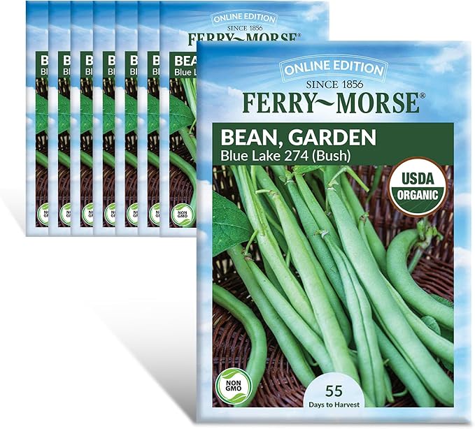 Bean Blue Lake Bush 274 Organic Seed Bundle - 8 Pack