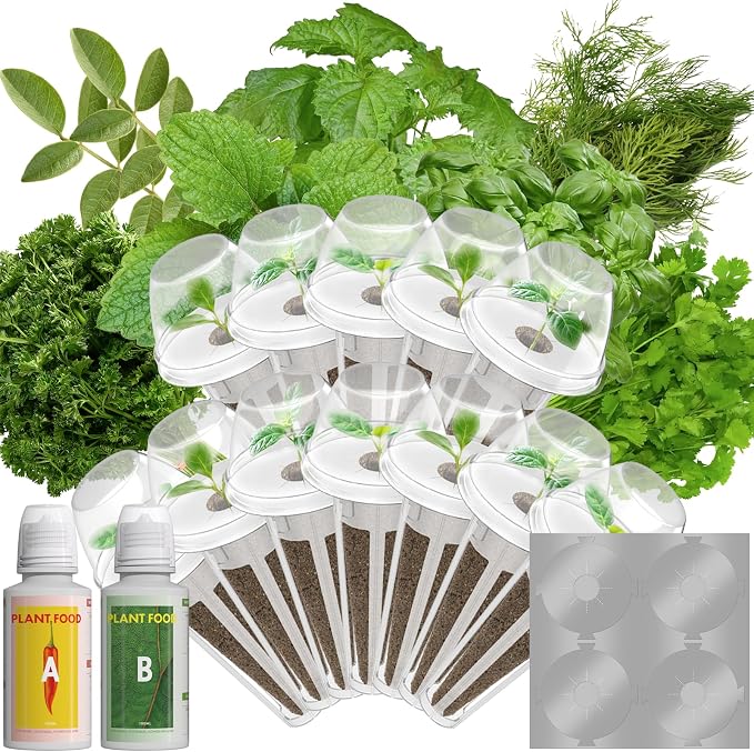 Herb