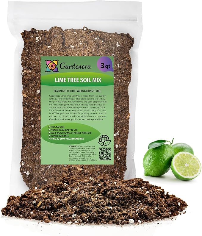LIME TREE