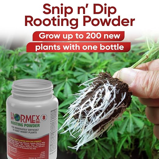 H) Rooting Cubes, Shears & Powder #8