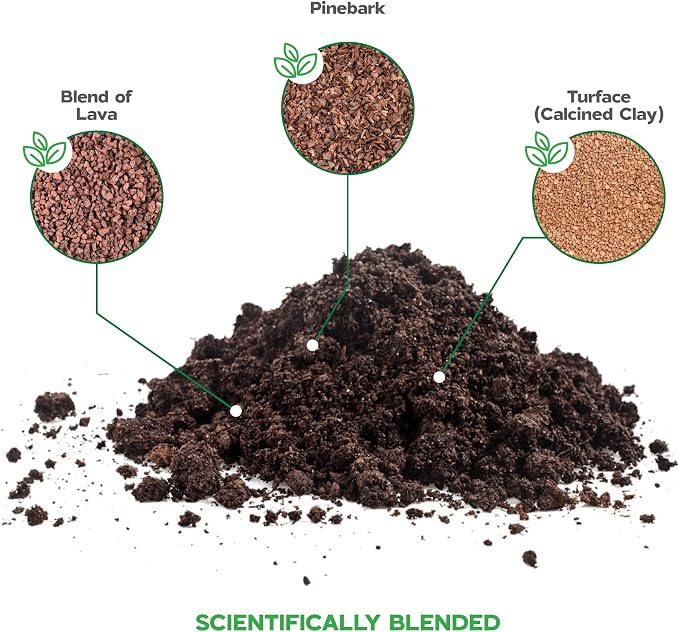 Orchid Soil