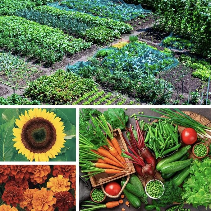 Ultimate Garden