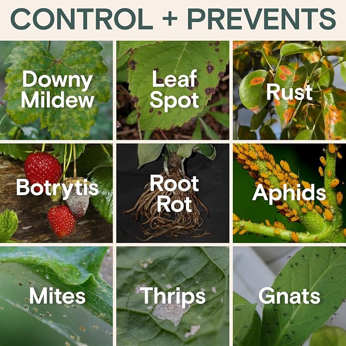 Organic Disease & Insect Set
