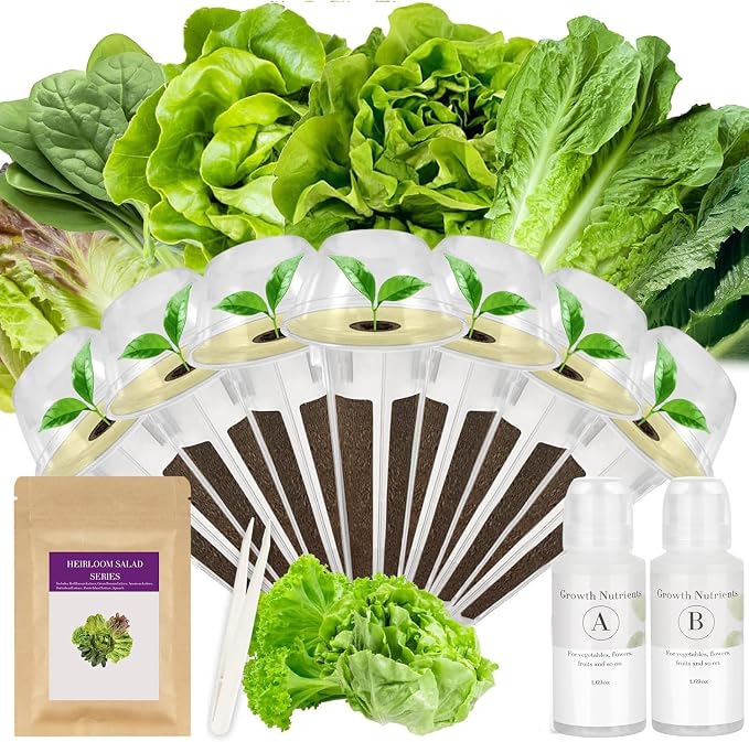 salad greens