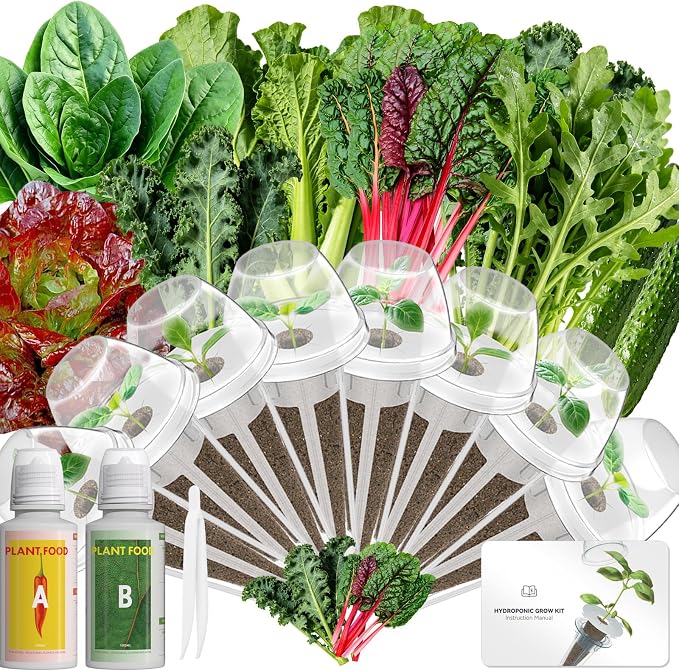 Salad Greens