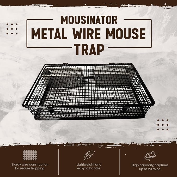 Mouse