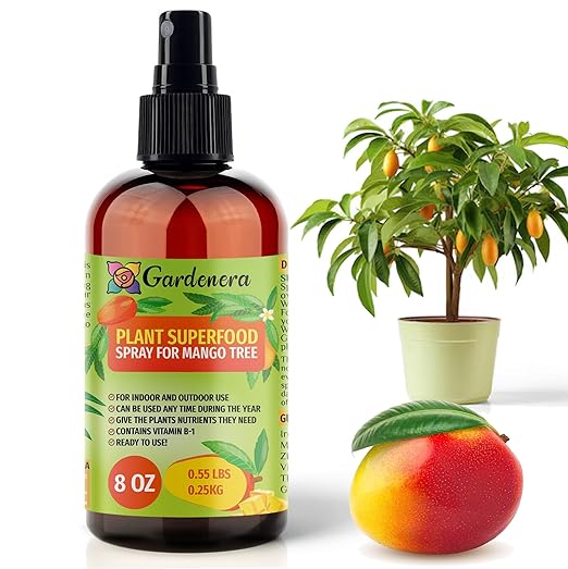 MANGO Plants Superfood