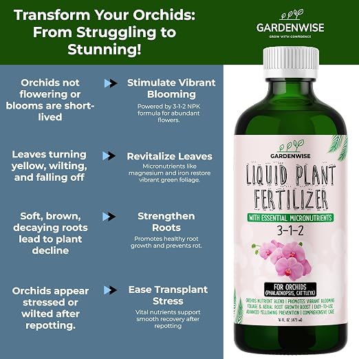 Orchid Food Concentrate 3-1-2
