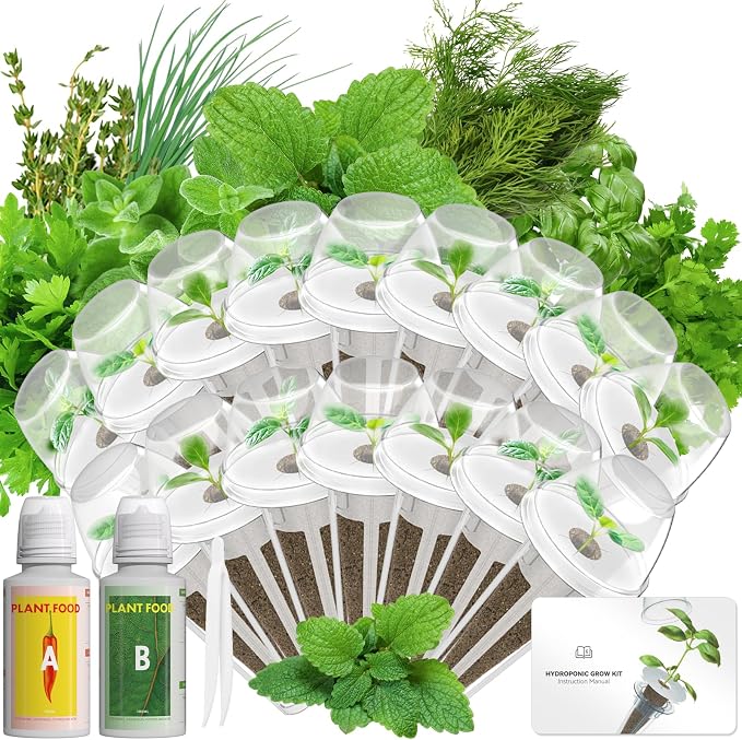 Herb