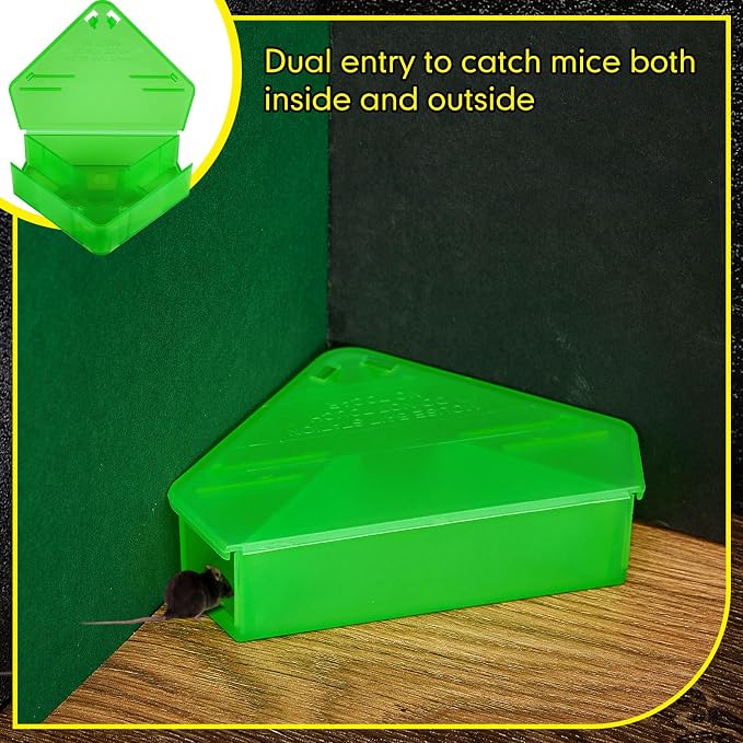 Translucent Green