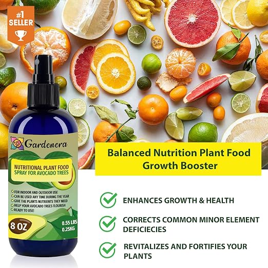 ALL CITRUS TREES
