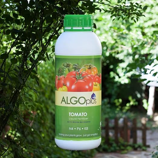 Tomato Fertilizer