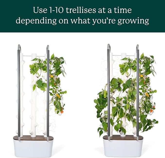 Trellis