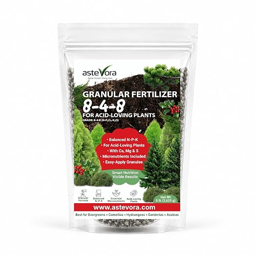 Evergreen Fertilizer
