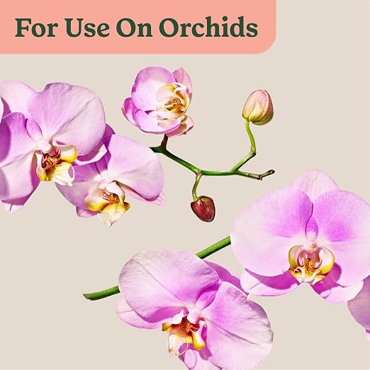 Orchid Mist
