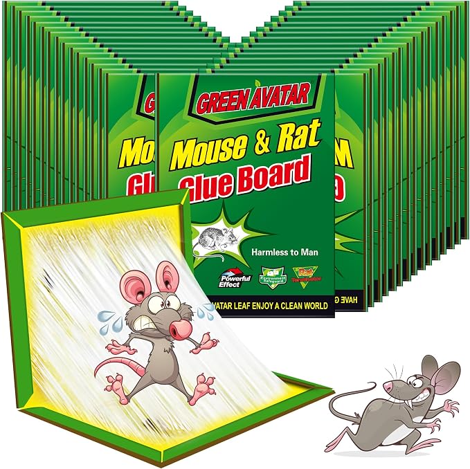 green-24pack