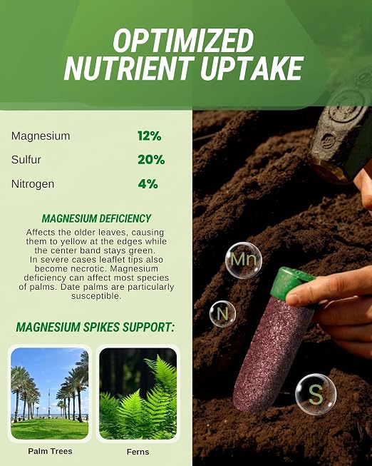 Magnesium Spikes