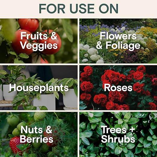 Organic Nutrition & Health Set