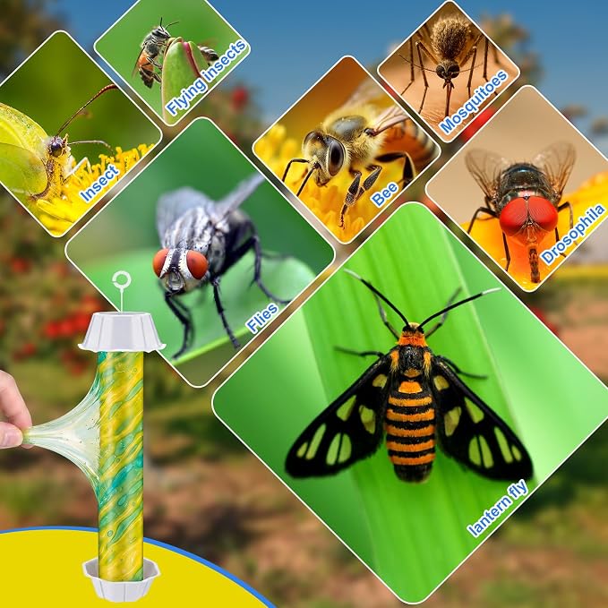 Yellow and Green