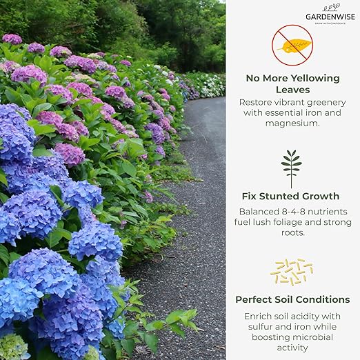 Hydrangea Acidic Fertilizer