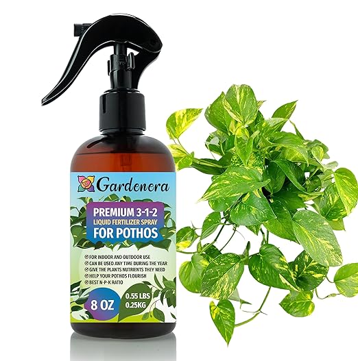 POTHOS
