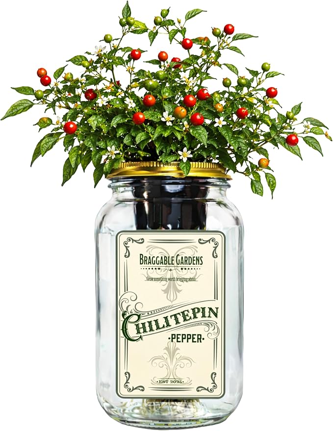 Chiltepin Pepper