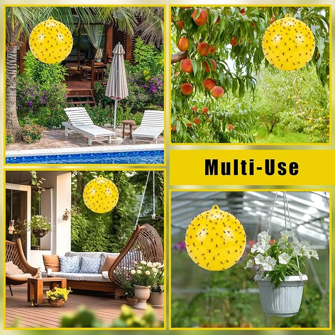 Gnat Fly Ball Trap