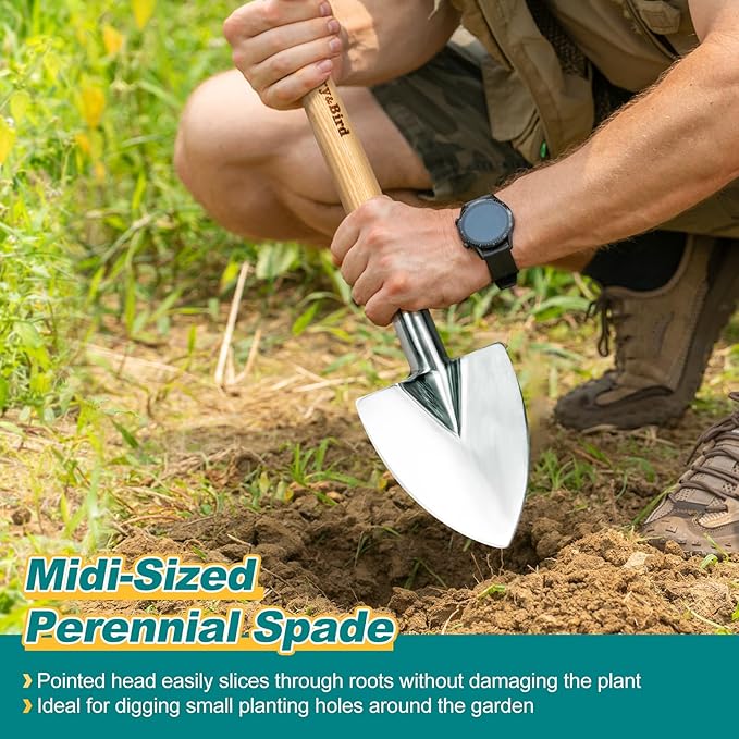 Perennial Spade