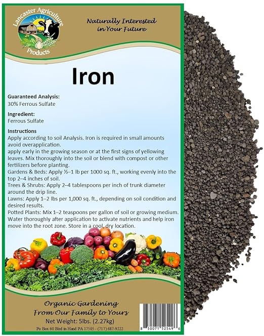 Iron