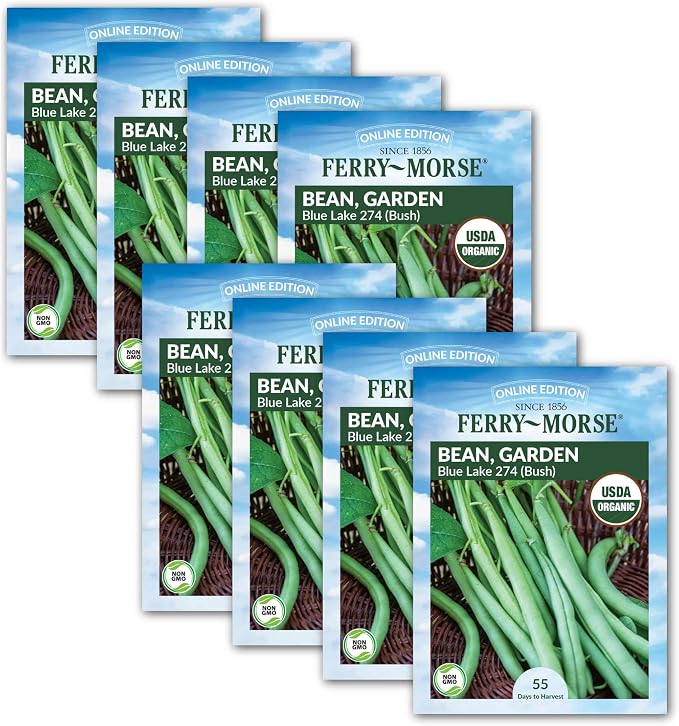 Bean Blue Lake Bush 274 Organic Seed Bundle - 8 Pack