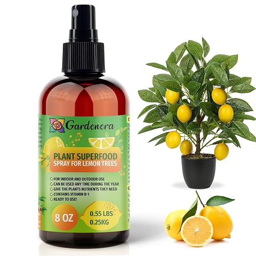 LEMON TREE Plants Superfood