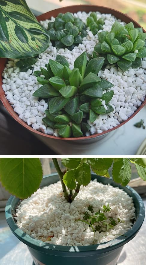 Large Perlite
