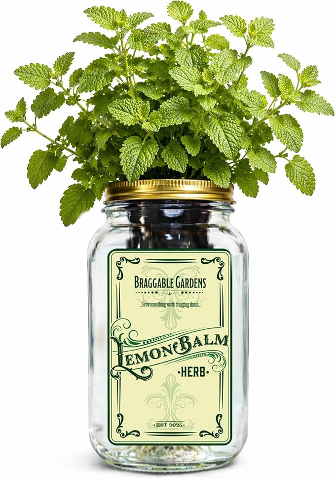 Lemon Balm Herb