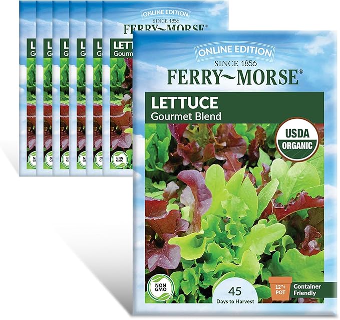 Lettuce Gourmet Blend Organic Seed Multipack - 7 Pack