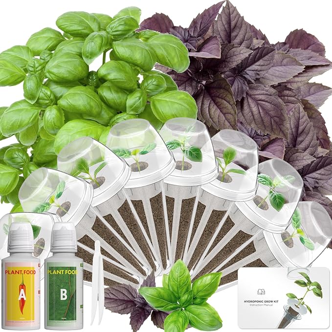 Basil