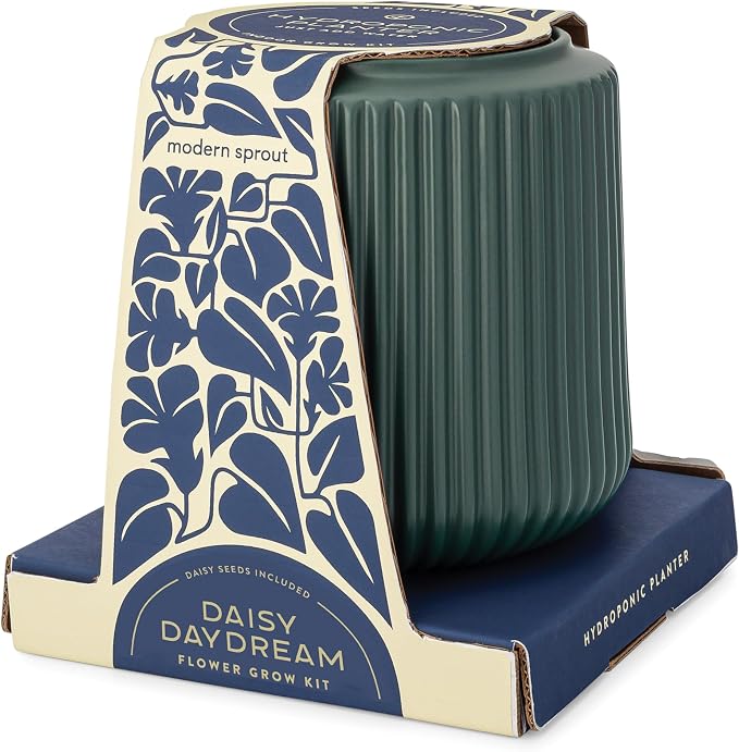 Daisy Daydream