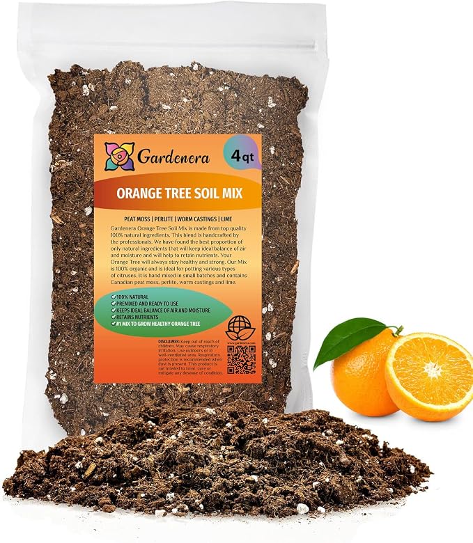 ORANGE TREE