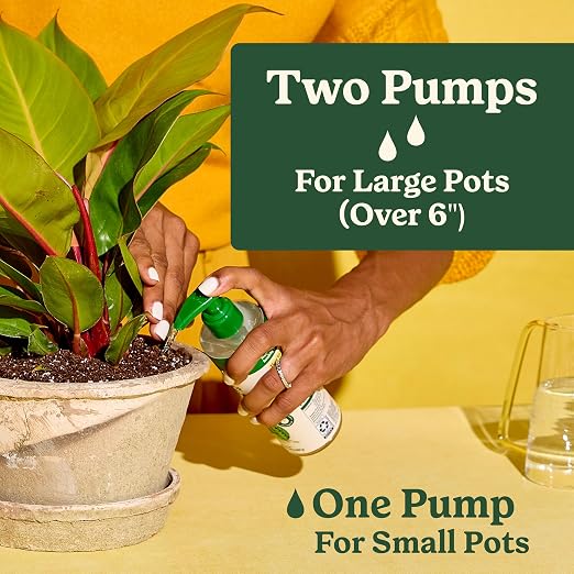 All Plants
