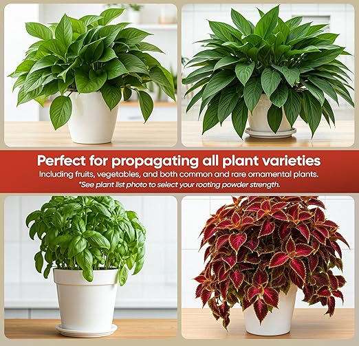 A) #1 For Delicate Easy to Root Plants