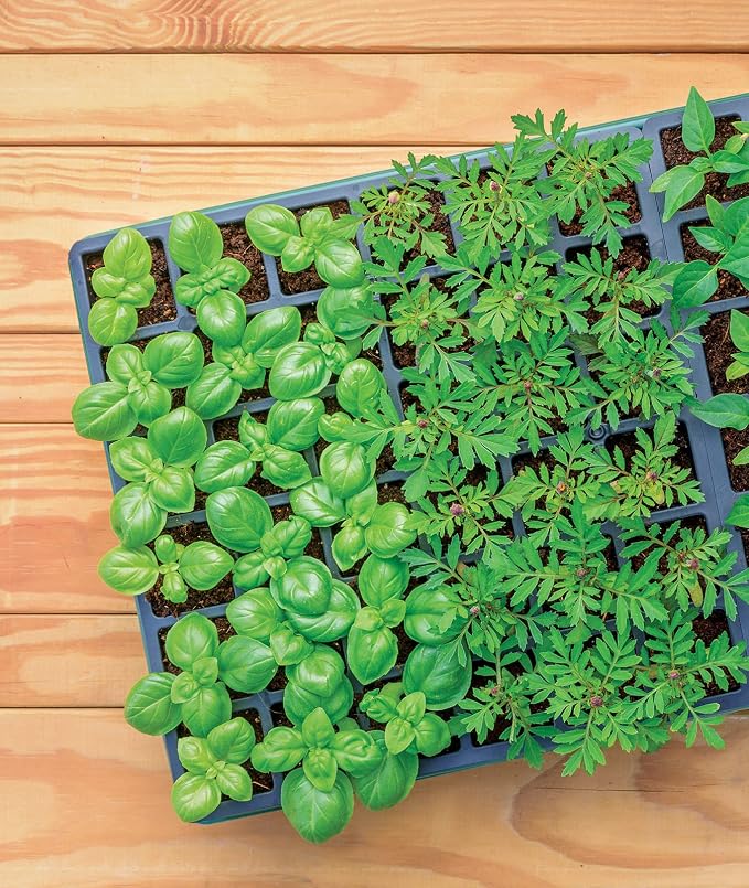 32 XL Cell Self Watering Kit