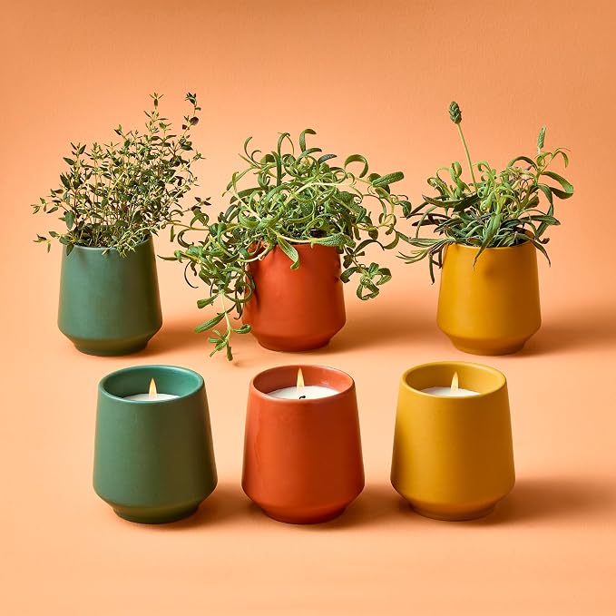 3-Pack Lavender, Rosemary & Thyme