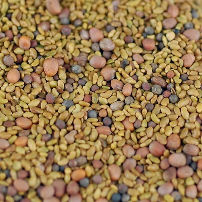 __DEFAULT__