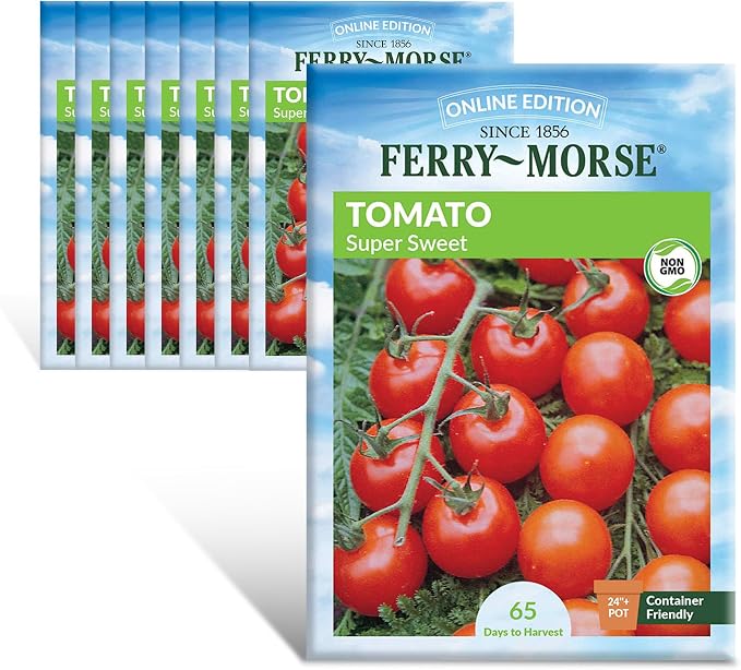 Tomato Supersweet 100 Hybrid Seed Bundle - 8 Pack