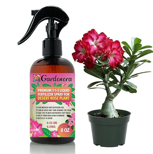DESERT ROSE