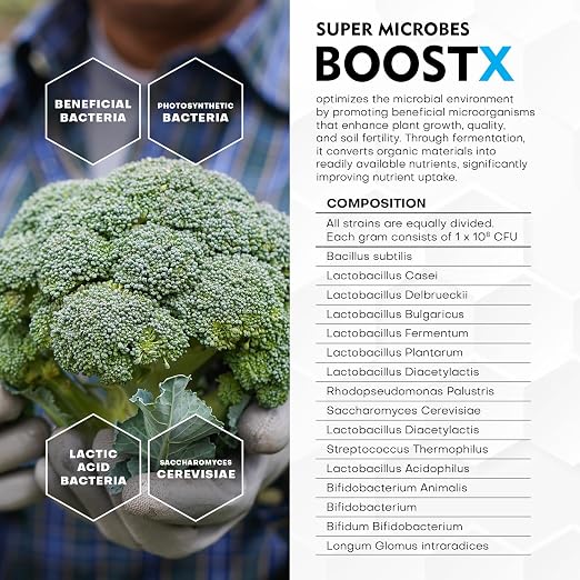 BOOST X
