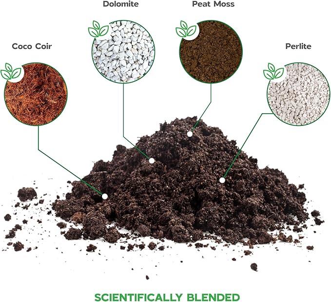 Indoor Plant Soil
