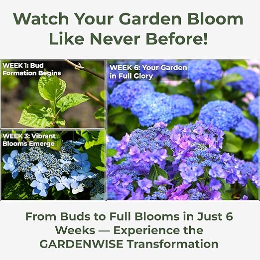 Hydrangea Acidic Fertilizer