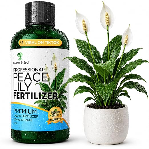 Peace Lily
