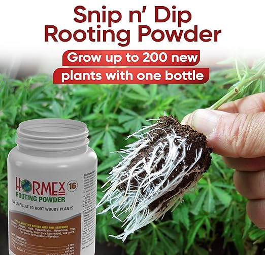 D) #16 For Hard to Root Woody Plants