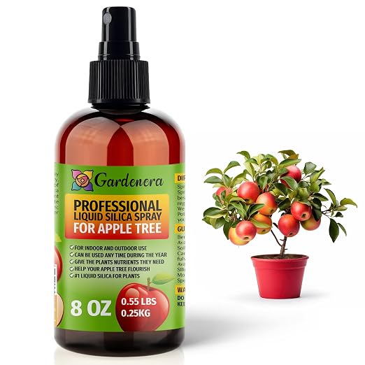 APPLE TREE Plants